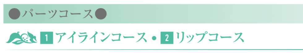 パーツ・アイラインコース
