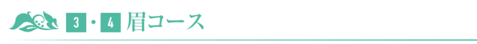 眉コース